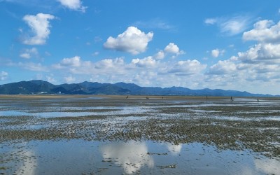 람사르 등재 고창 갯벌